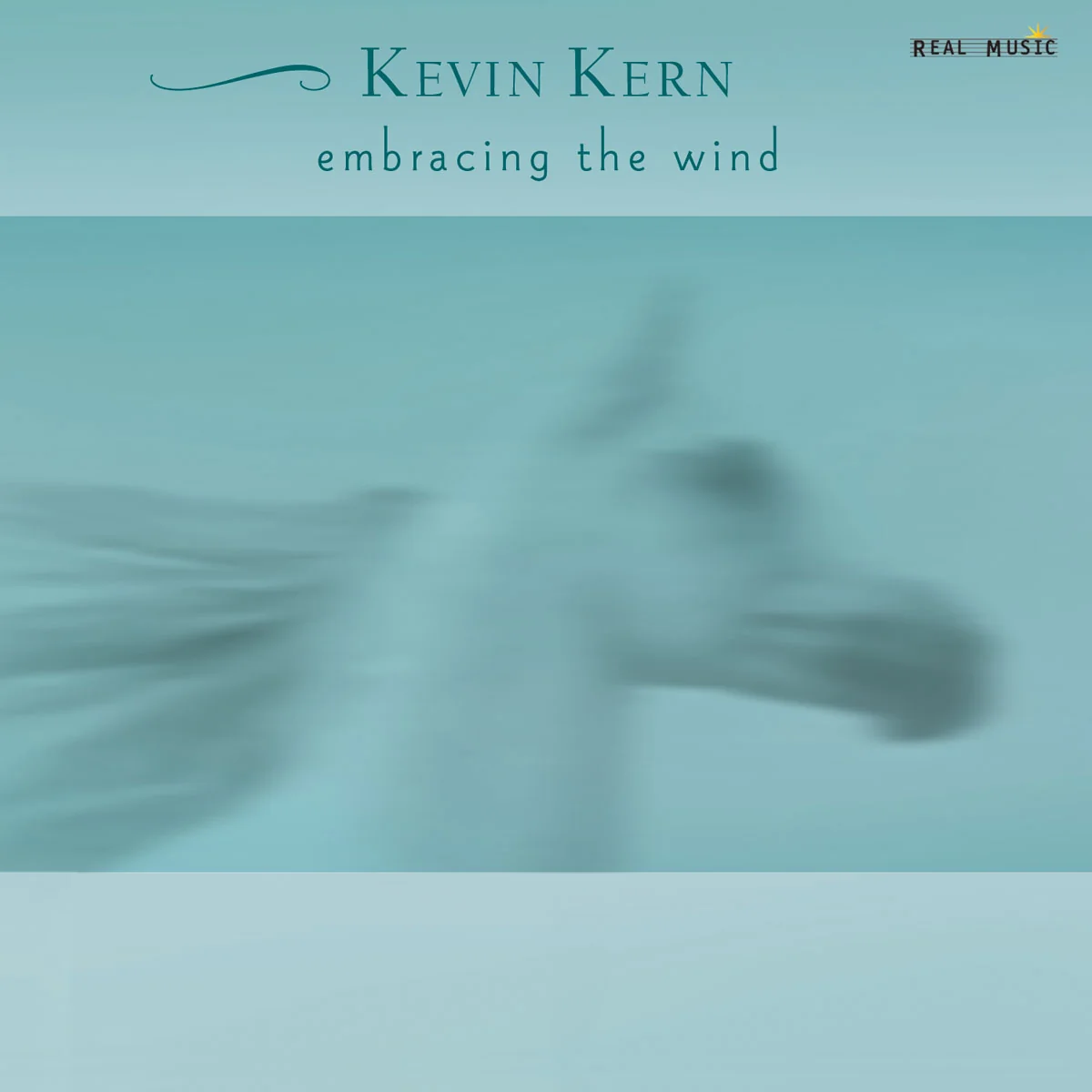 EmbracingTheWind.webp